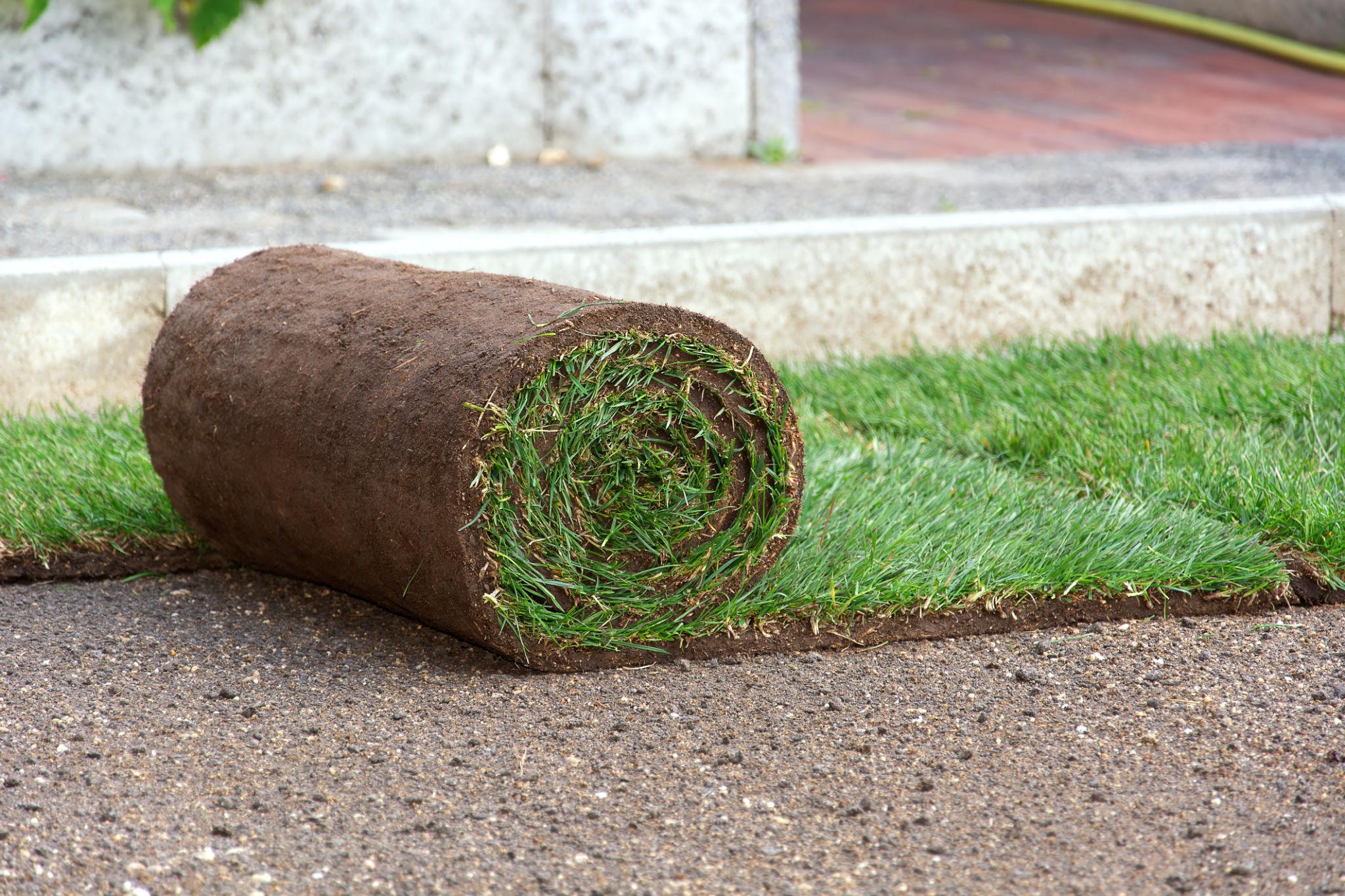 Commercial Sod